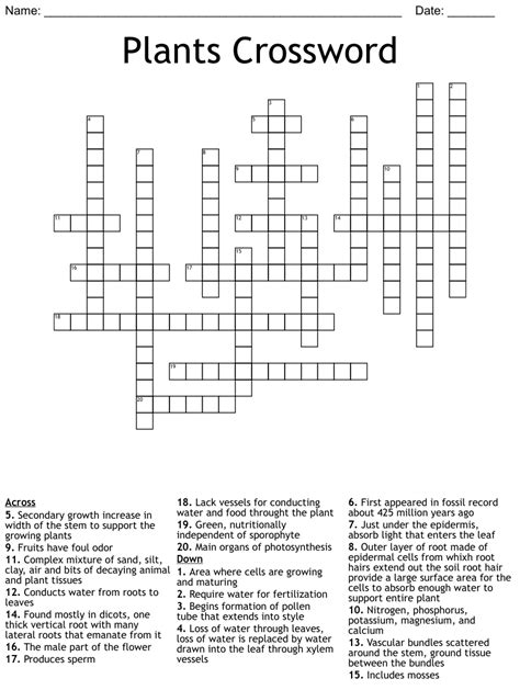 The Crossword Solver finds answers to classic crosswords and cryptic crossword puzzles. . Marsh plants crossword clue
